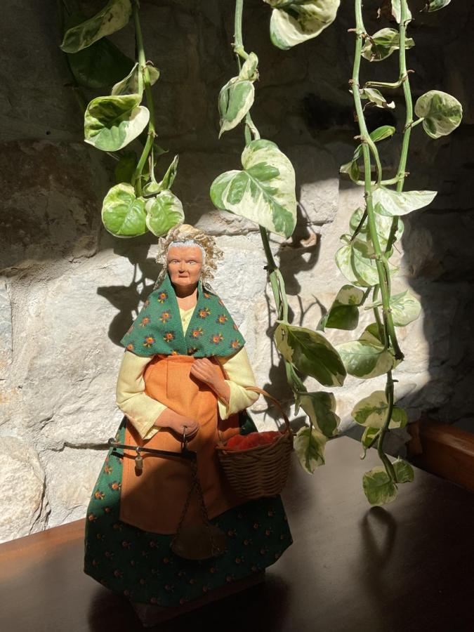 Place Aux Herbes Apartment Nîmes Exterior foto